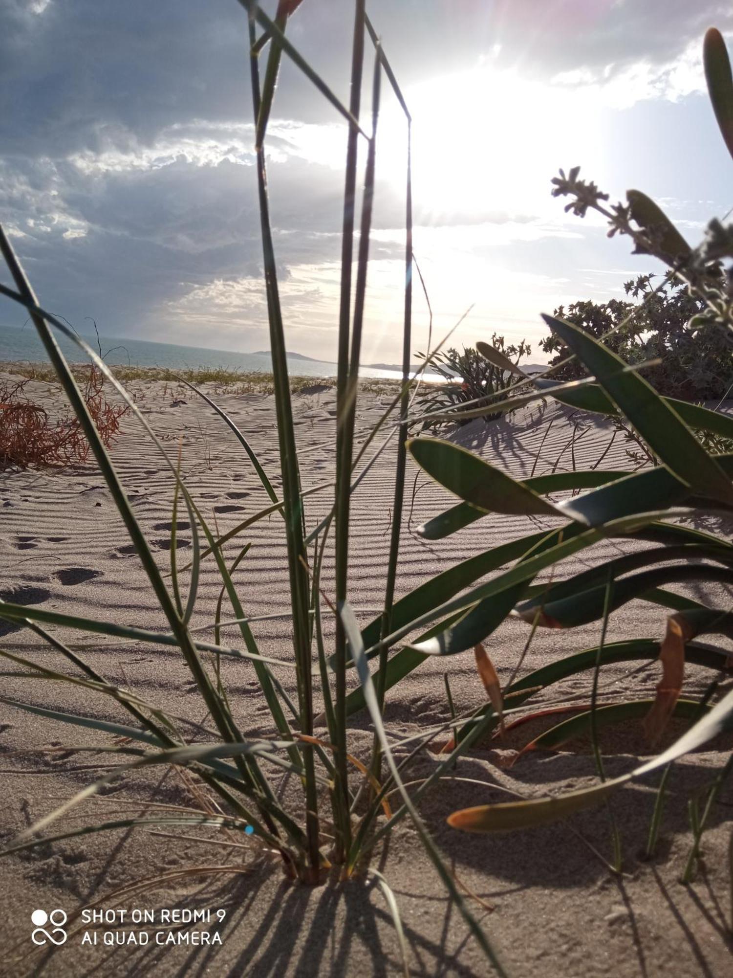 Natura E Relax Sul Mare Gela Dış mekan fotoğraf